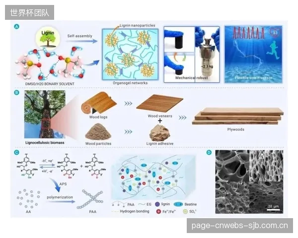 预计到2029年，部分头部品牌或将开放其核心生物基材料的专利，以推动全行业的标准化与协同发展